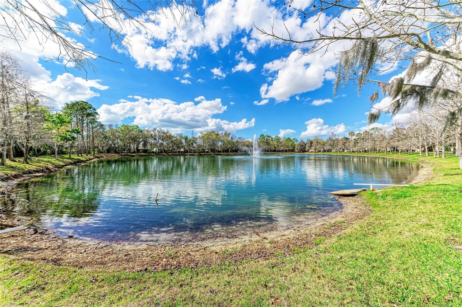 8160 VILLA GRANDE CT, SARASOTA, FL — photo 47