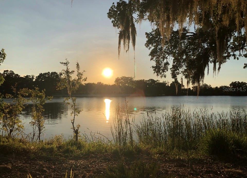 725 PENINSULAR DR, LAKELAND, FL — photo 65