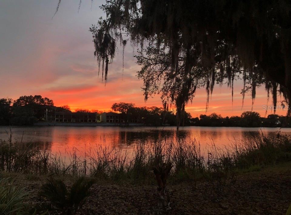 725 PENINSULAR DR, LAKELAND, FL — photo 3