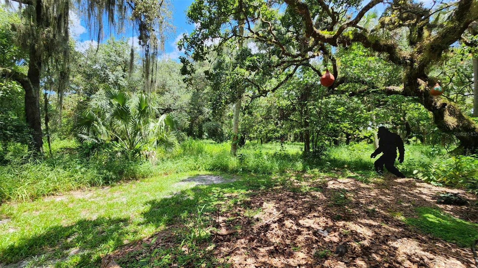 389 LONGHORN DR, RIVER RANCH, FL — photo 11