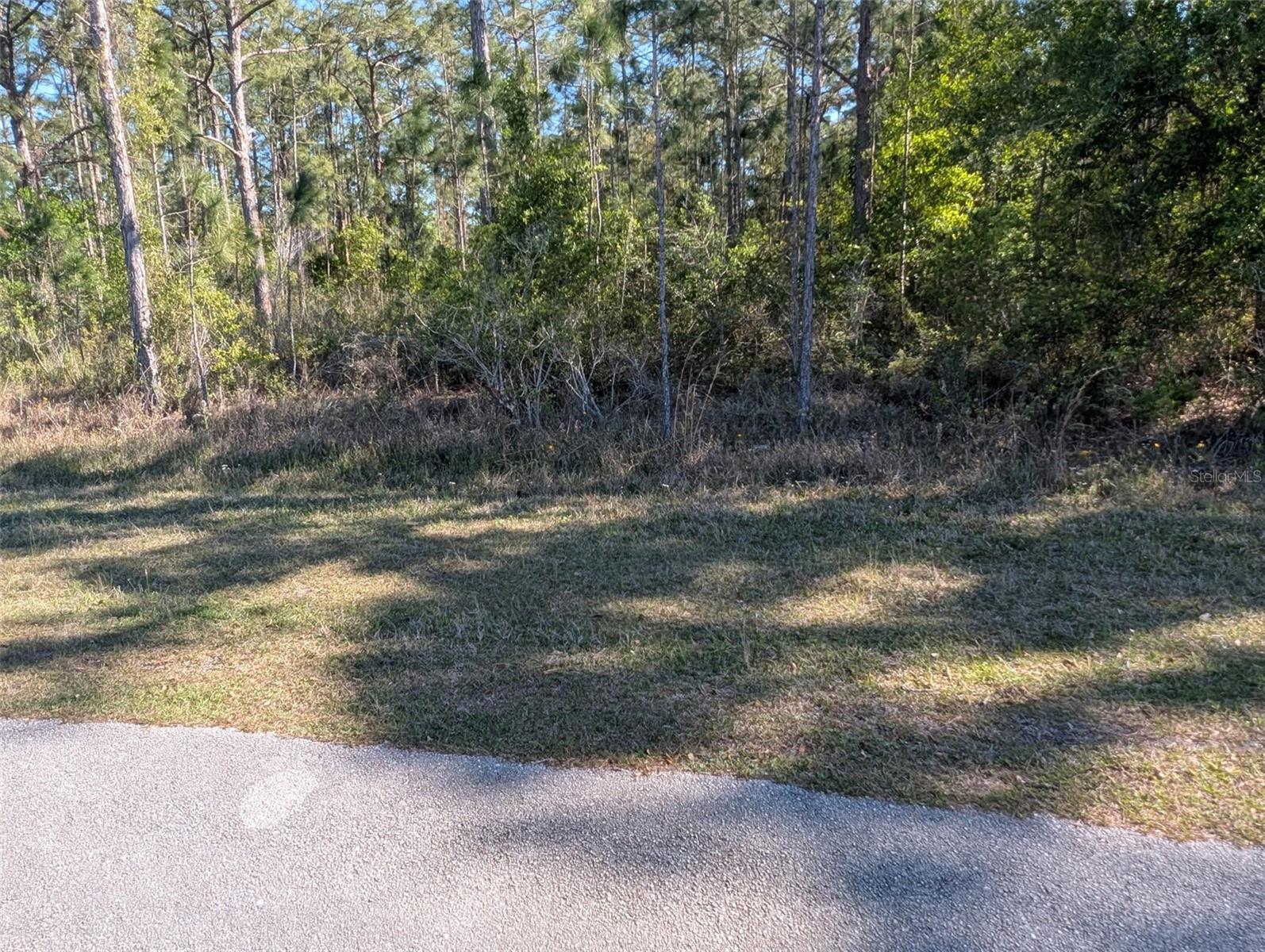 20 AVOCADO DR, INDIAN LAKE ESTATES, FL — photo 9