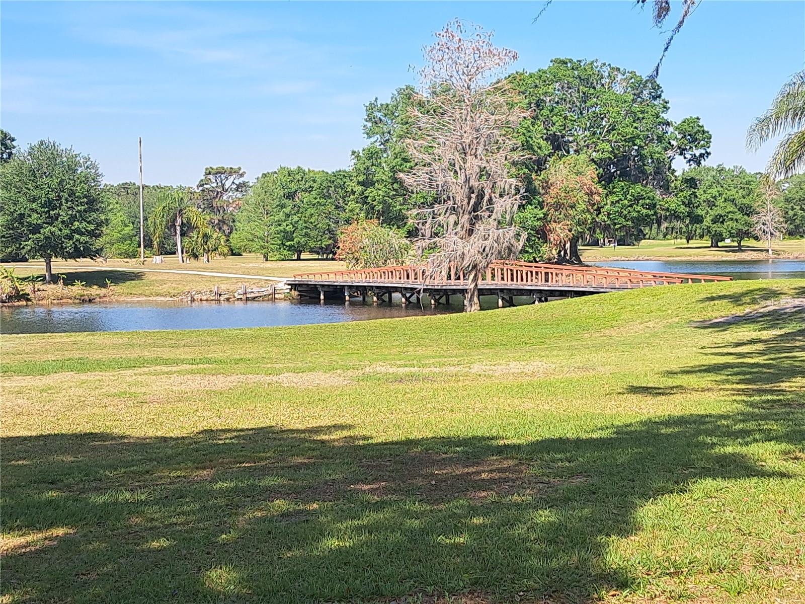 20 AVOCADO DR, INDIAN LAKE ESTATES, FL — photo 12