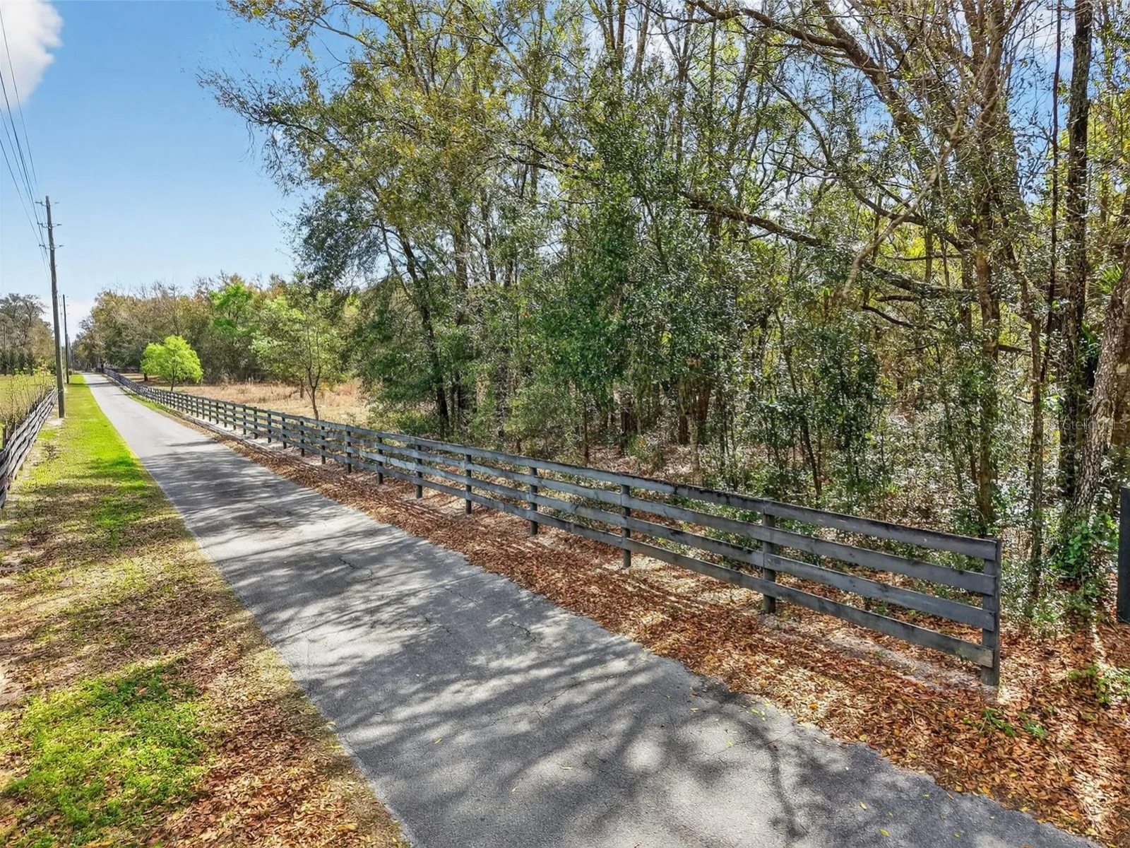 3800 DOUBLE D CIRCLE R, LADY LAKE, FL — photo 2