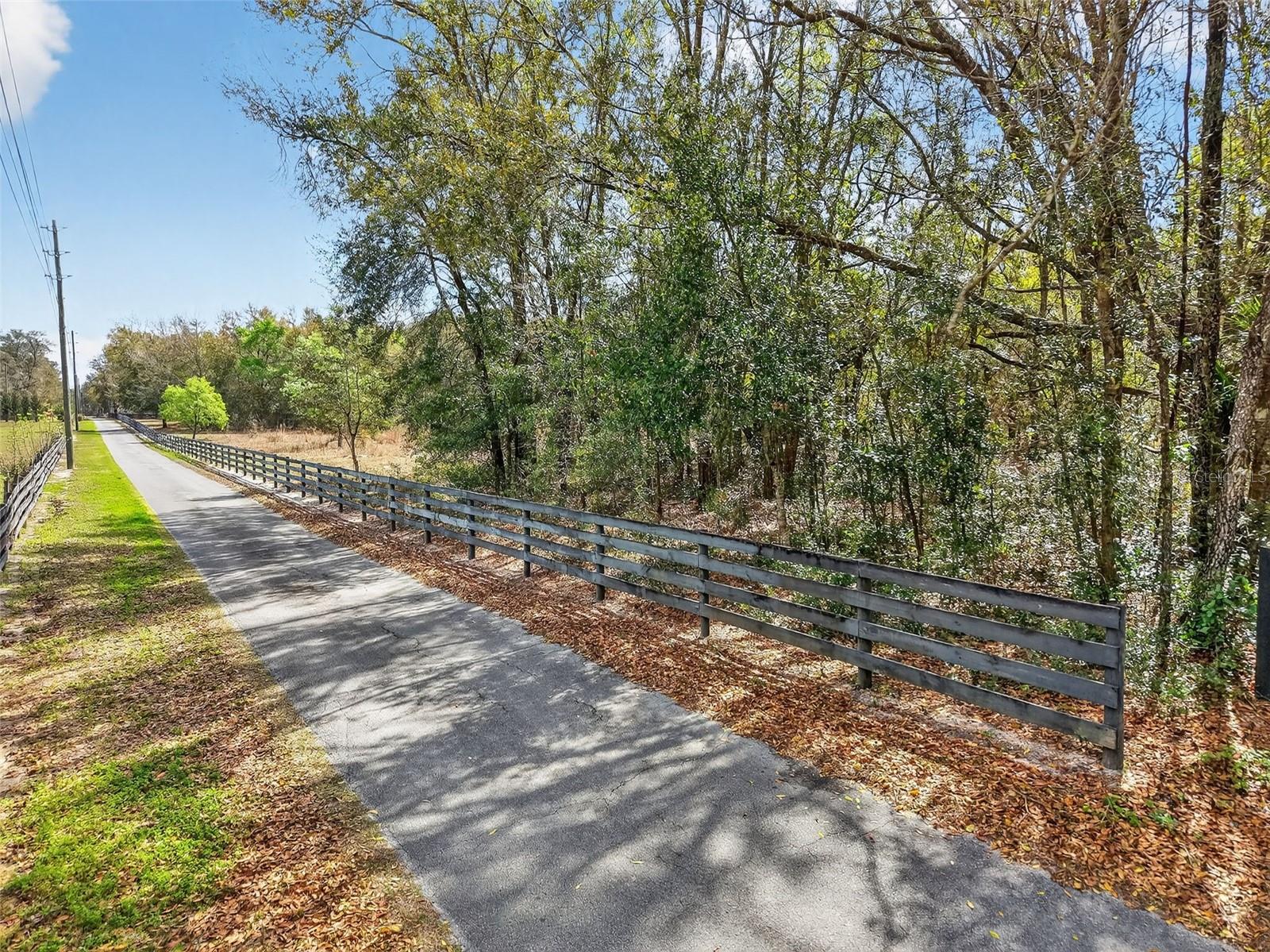 3800 DOUBLE D CIRCLE R, LADY LAKE, FL