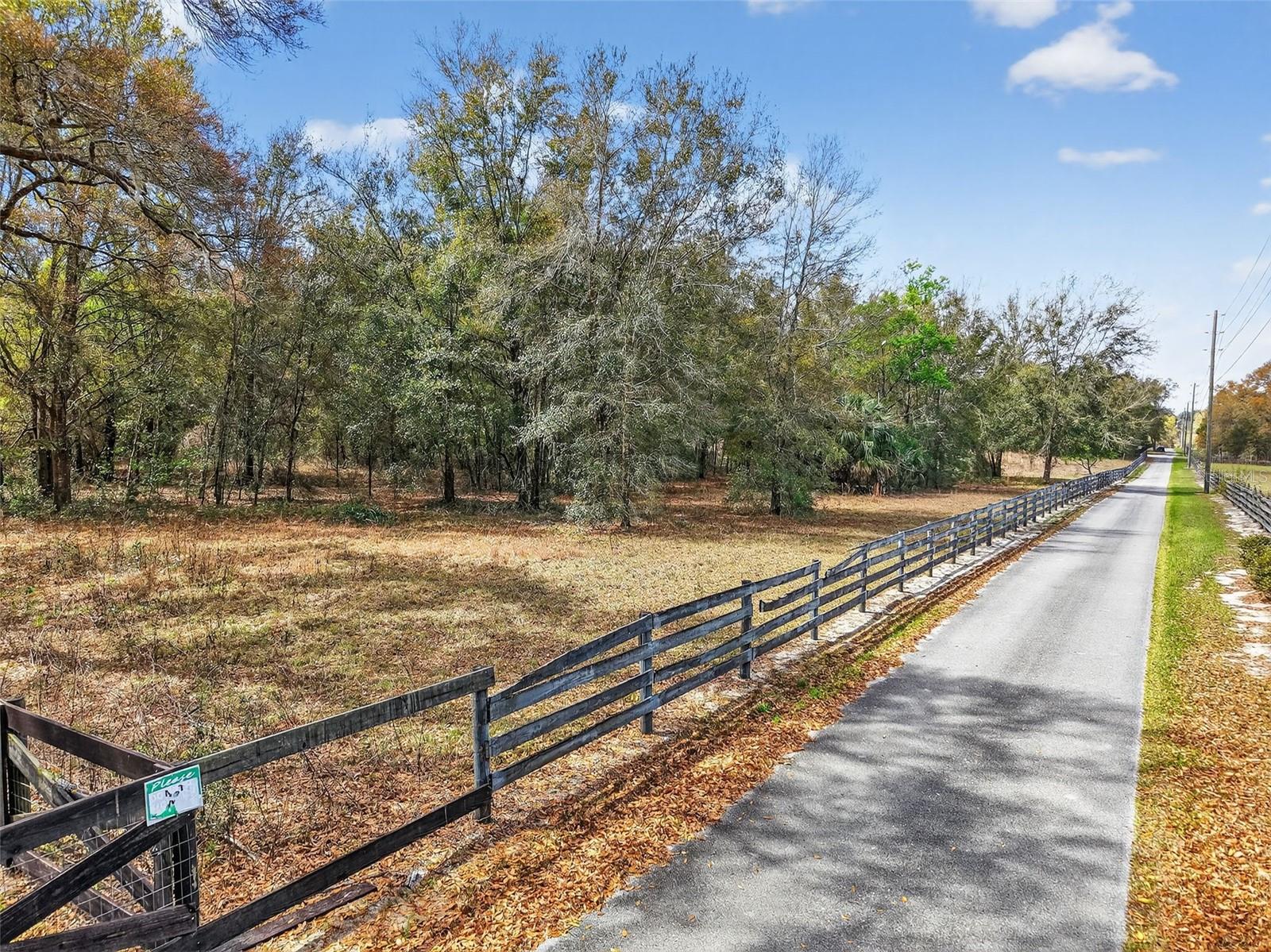 3800 DOUBLE D CIRCLE R, LADY LAKE, FL — photo 3