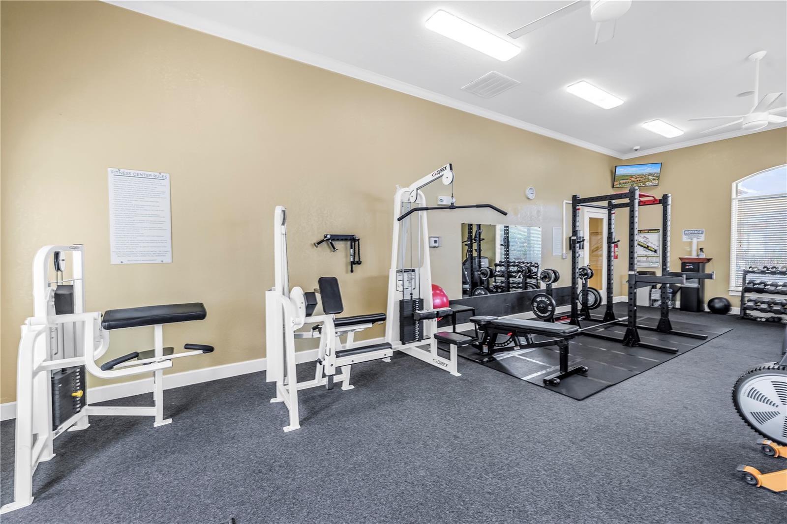 4333 BAYSIDE VILLAGE DR #320, TAMPA, FL — photo 36