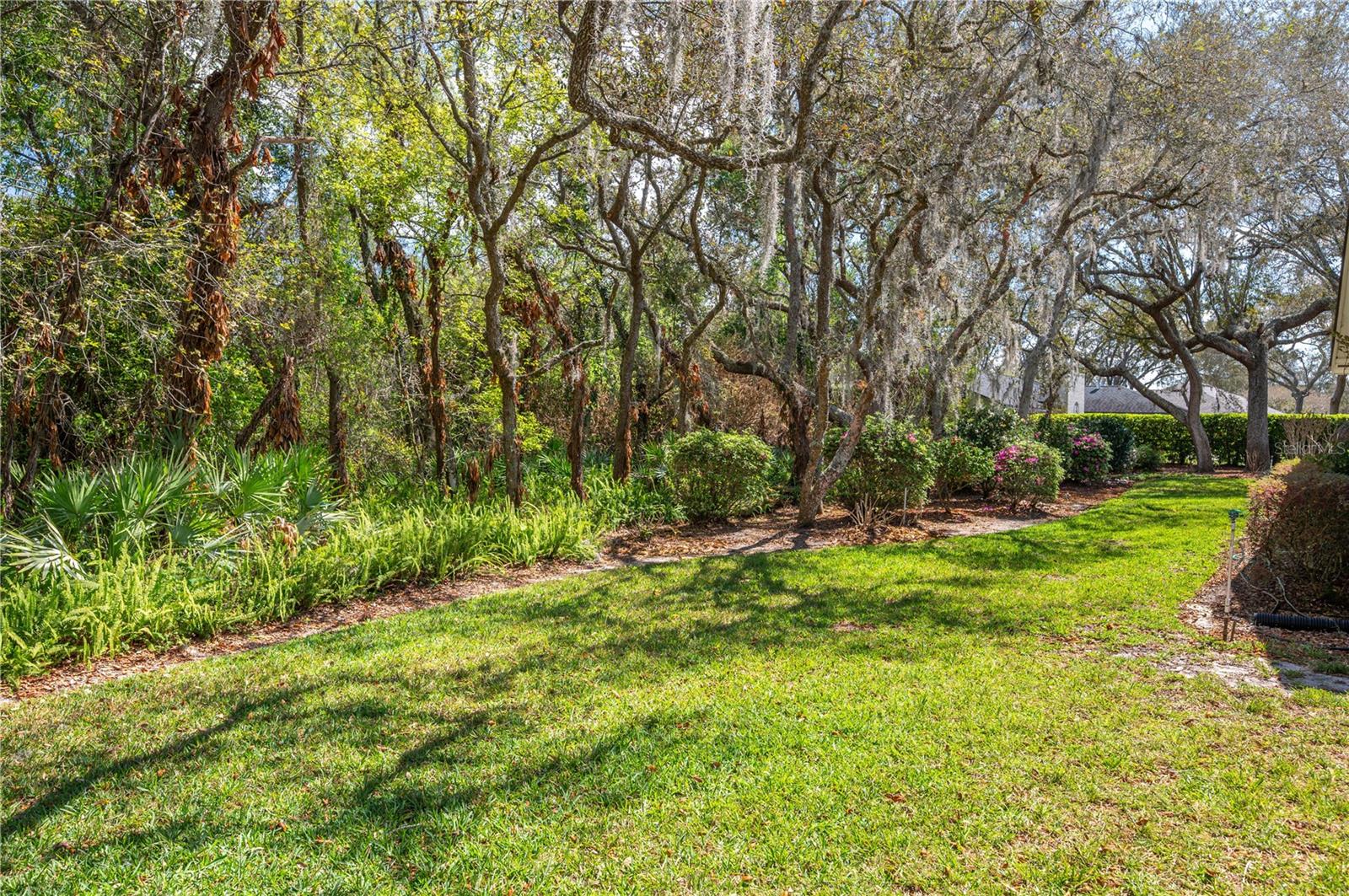 41 SPRING LN, HAINES CITY, FL — photo 9