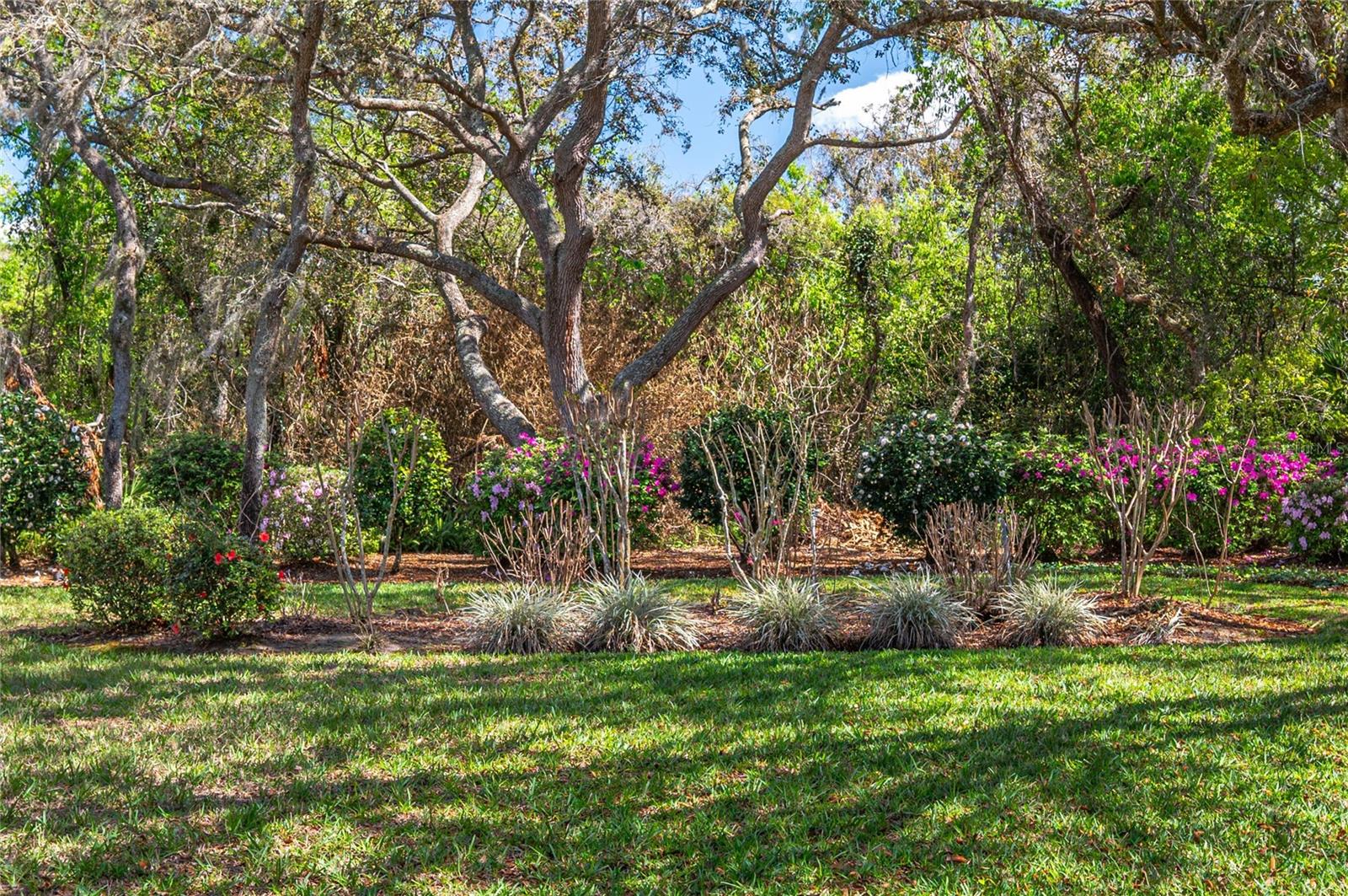 41 SPRING LN, HAINES CITY, FL — photo 13