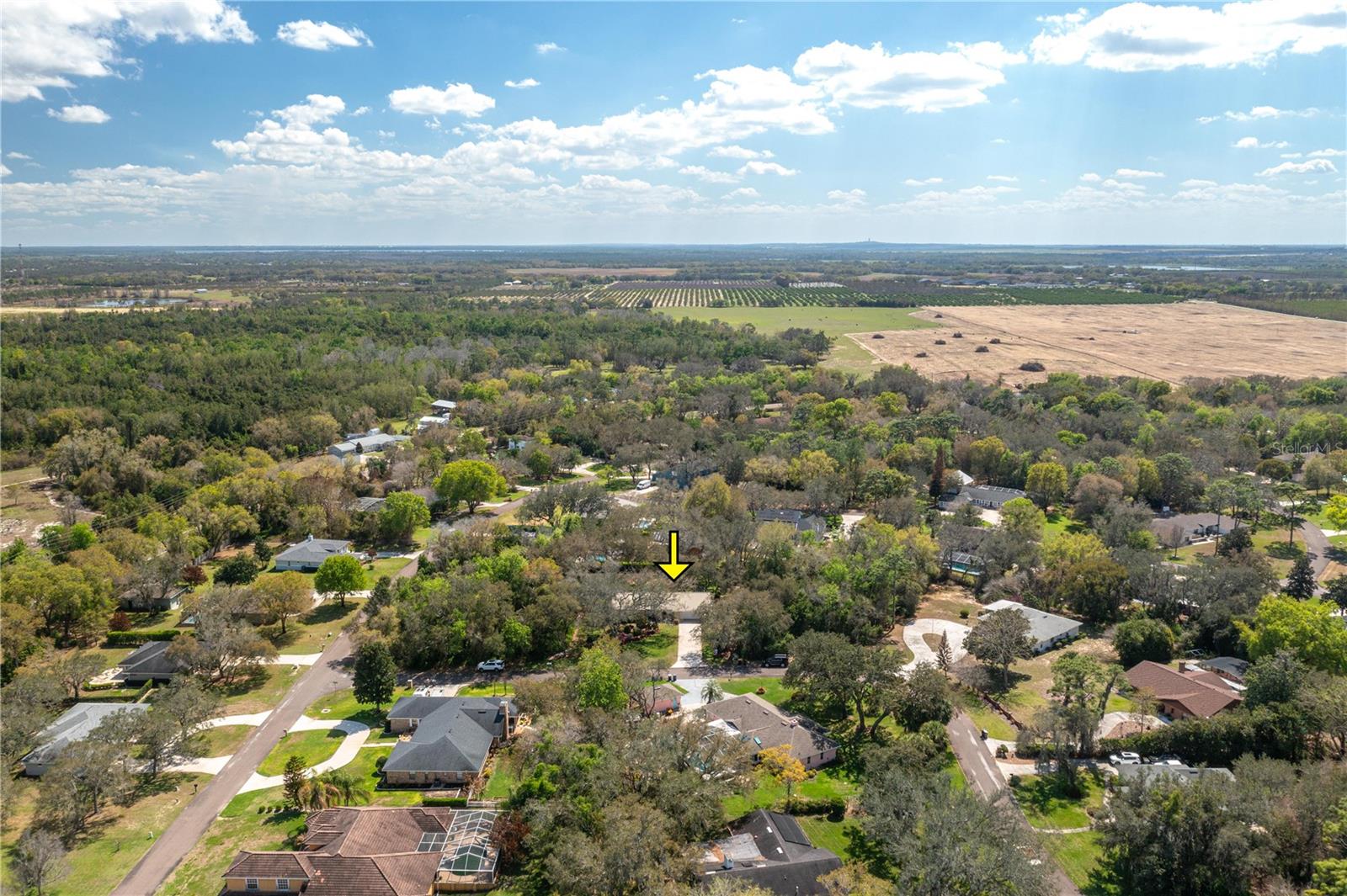 41 SPRING LN, HAINES CITY, FL — photo 38