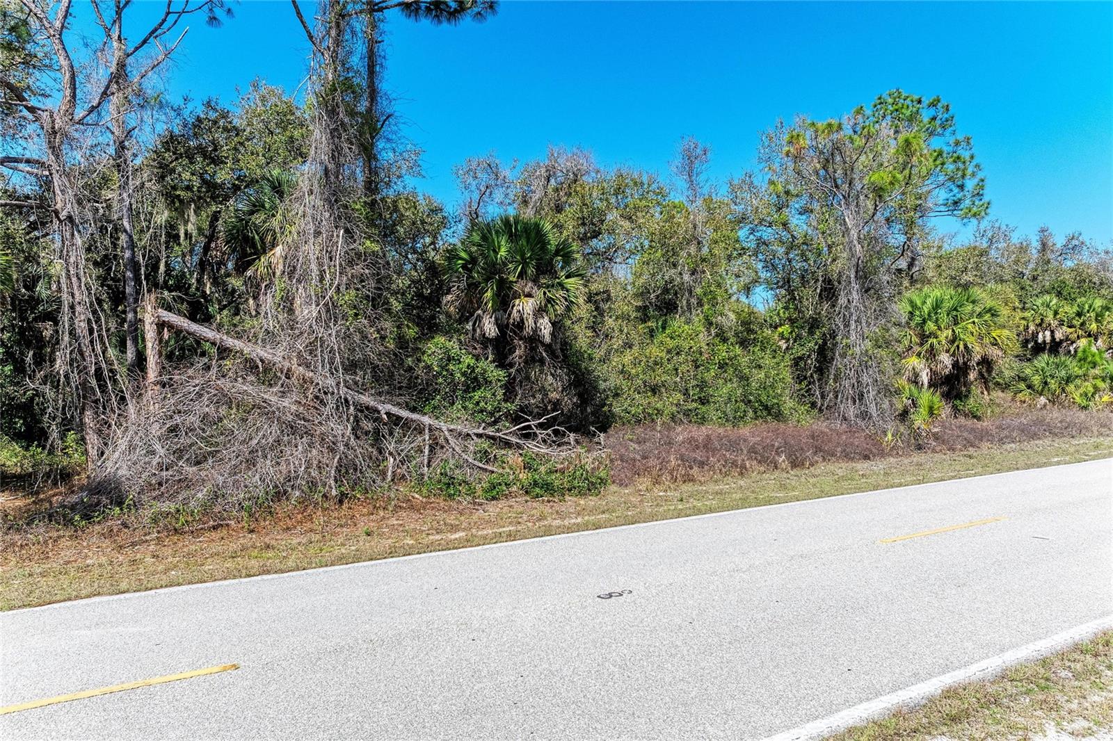 3107 COMO ST, PORT CHARLOTTE, FL — photo 6