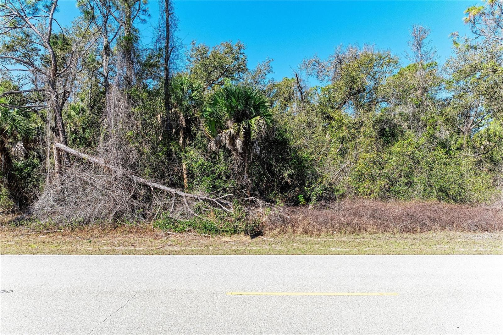 3107 COMO ST, PORT CHARLOTTE, FL — photo 7