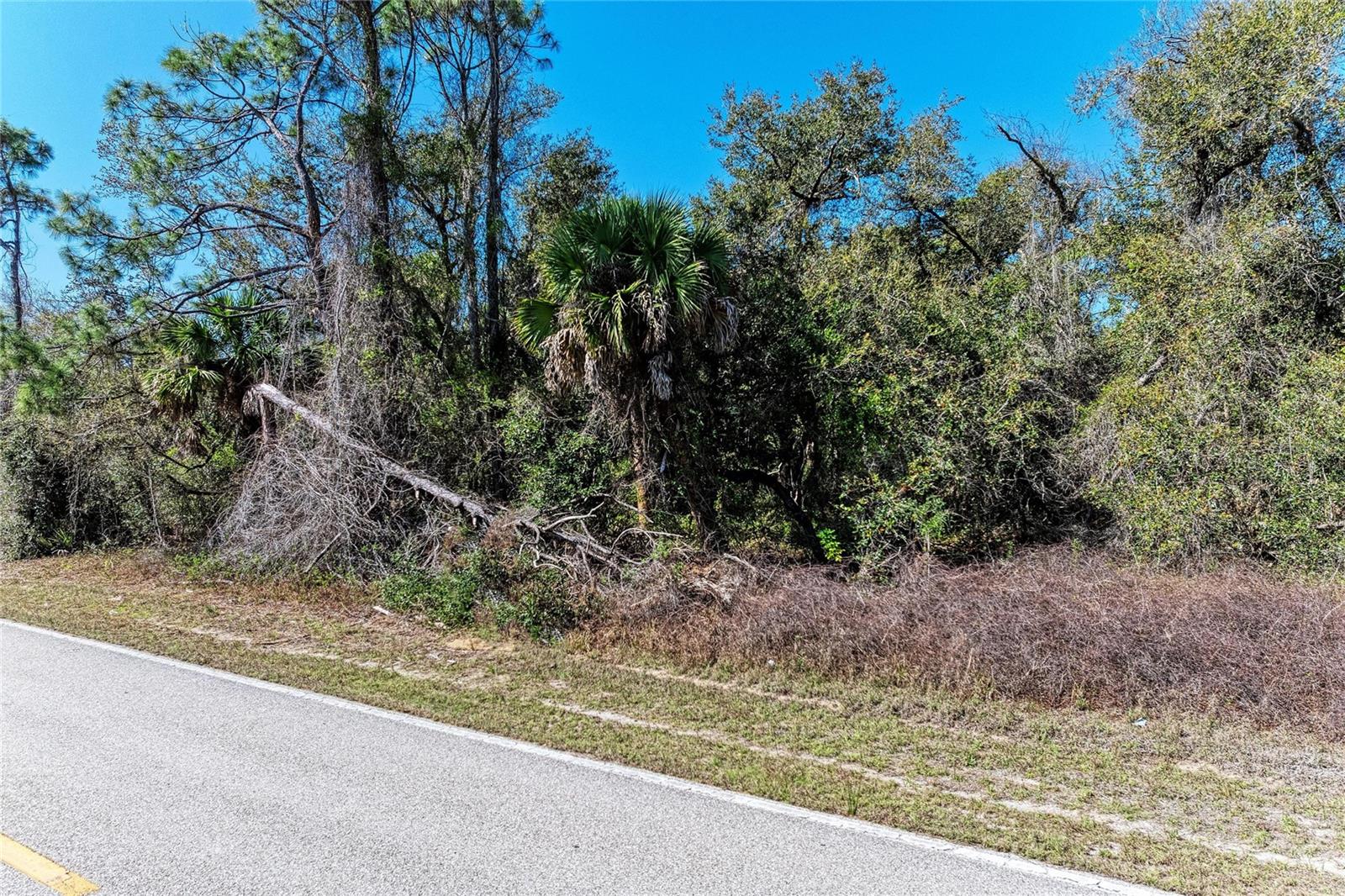 3107 COMO ST, PORT CHARLOTTE, FL — photo 8
