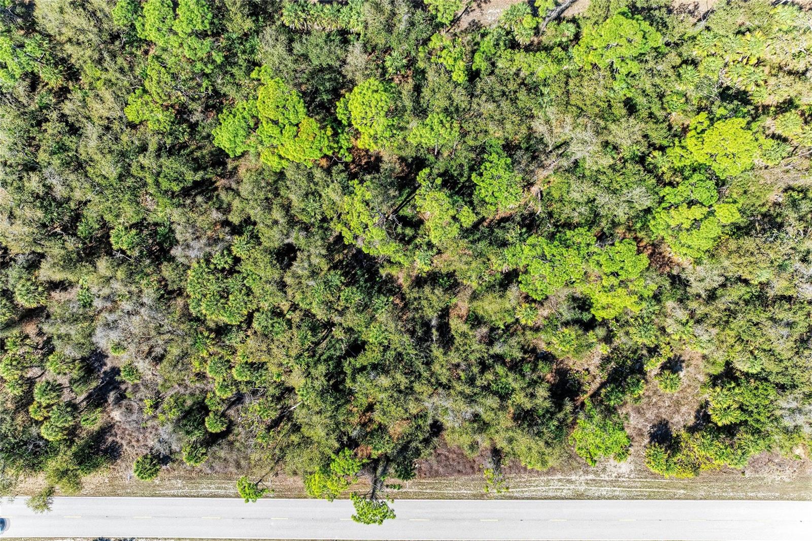 3107 COMO ST, PORT CHARLOTTE, FL — photo 11