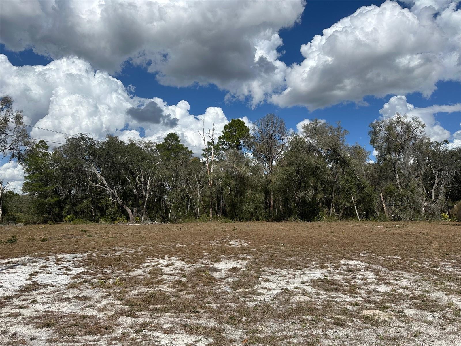 , DUNNELLON, FL — photo 2