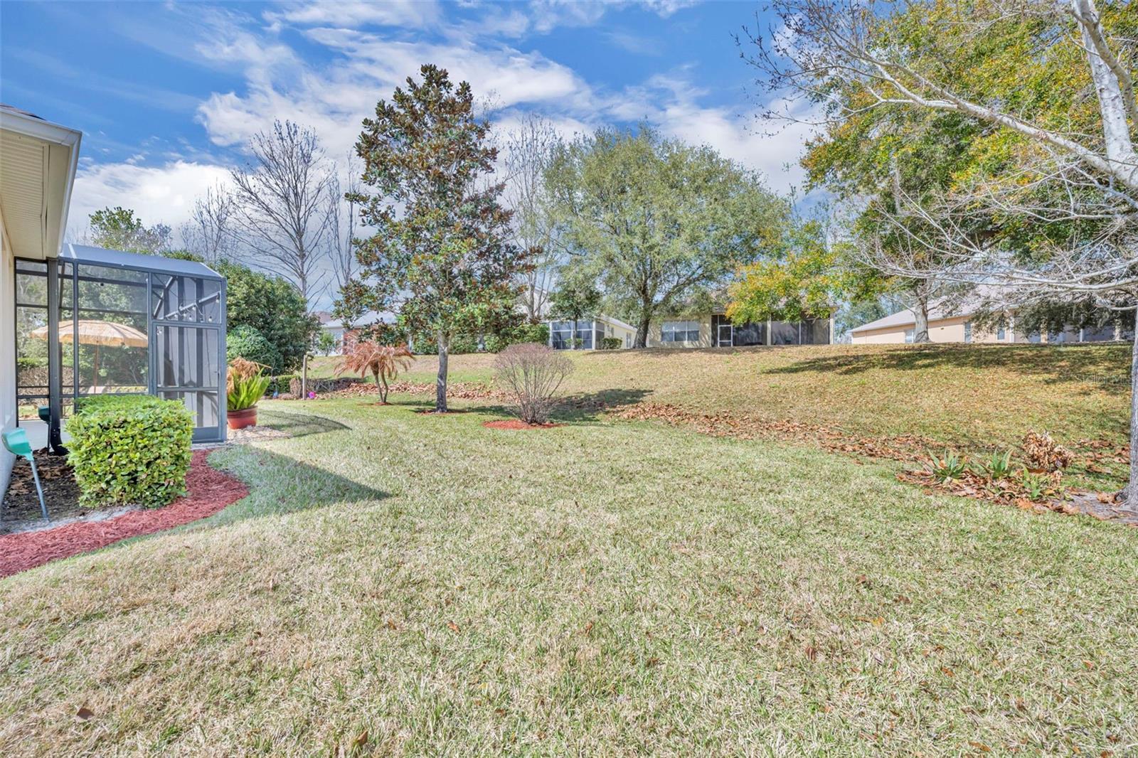 115 SALT MARSH LN, GROVELAND, FL — photo 70