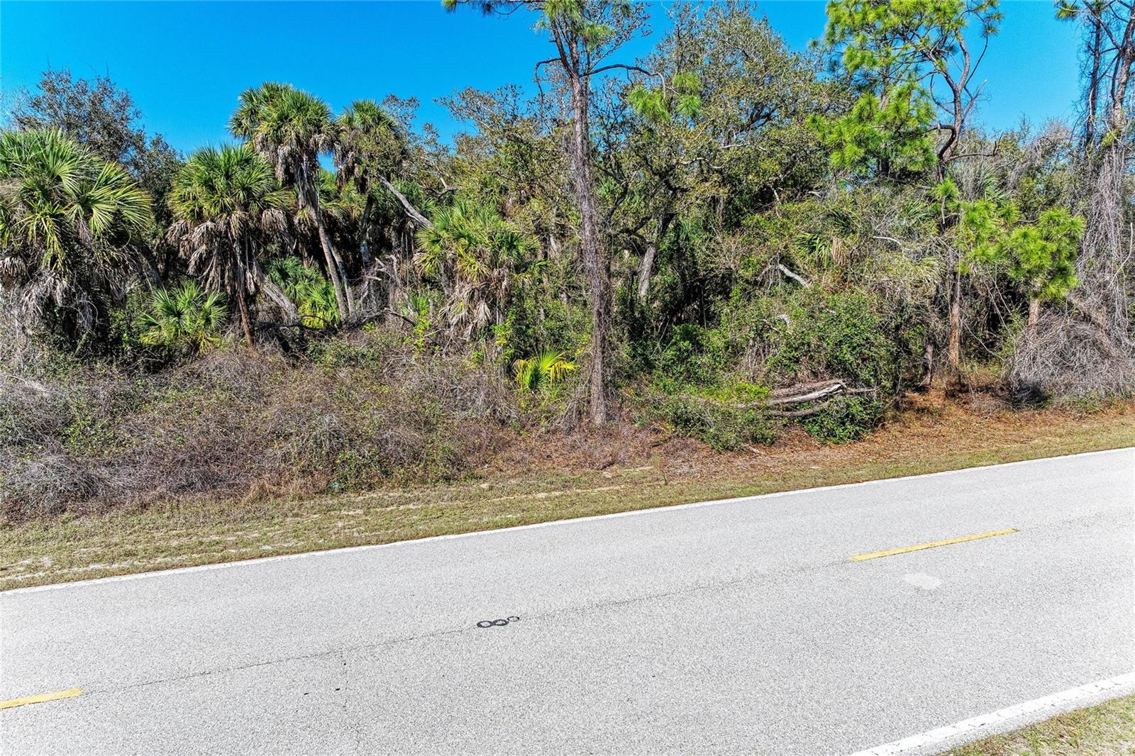 3115 COMO ST, PORT CHARLOTTE, FL — photo 6