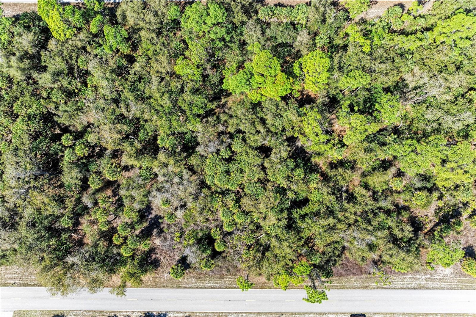 3115 COMO ST, PORT CHARLOTTE, FL — photo 11