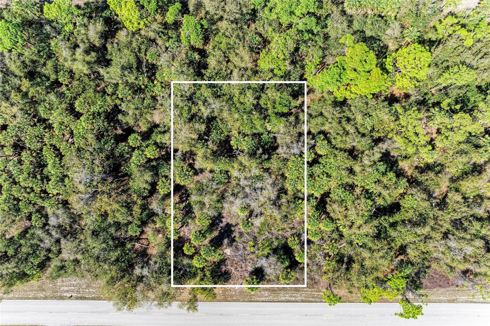 3123 COMO ST, PORT CHARLOTTE, FL — photo 12