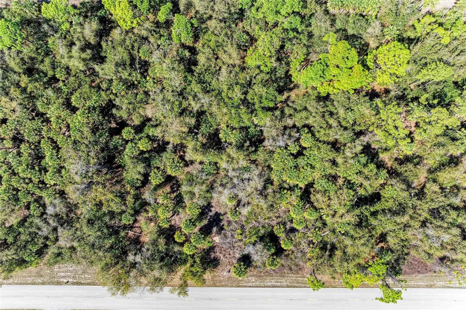 3123 COMO ST, PORT CHARLOTTE, FL — photo 13