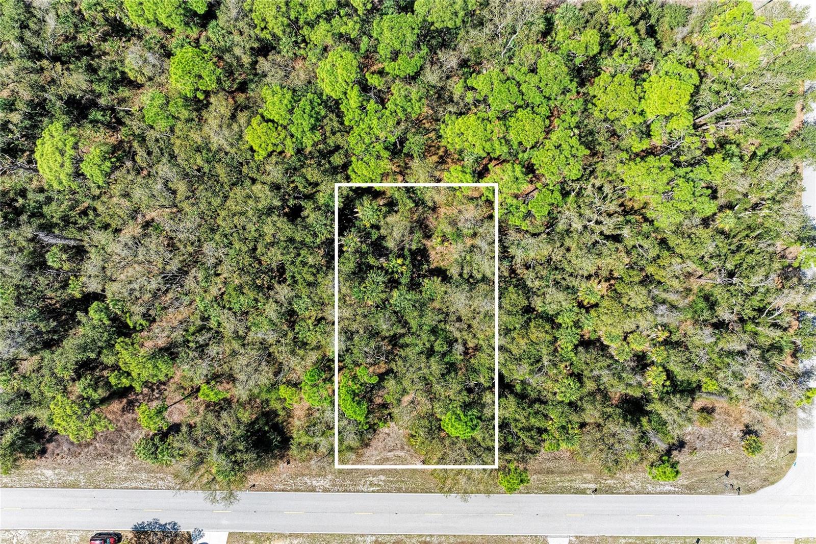 3059 COMO ST, PORT CHARLOTTE, FL — photo 11