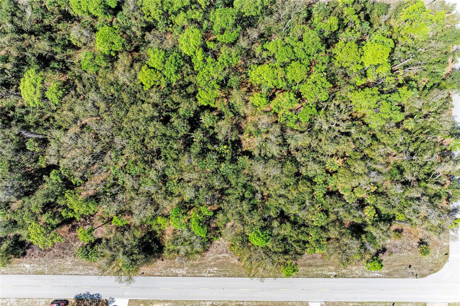 3059 COMO ST, PORT CHARLOTTE, FL — photo 12