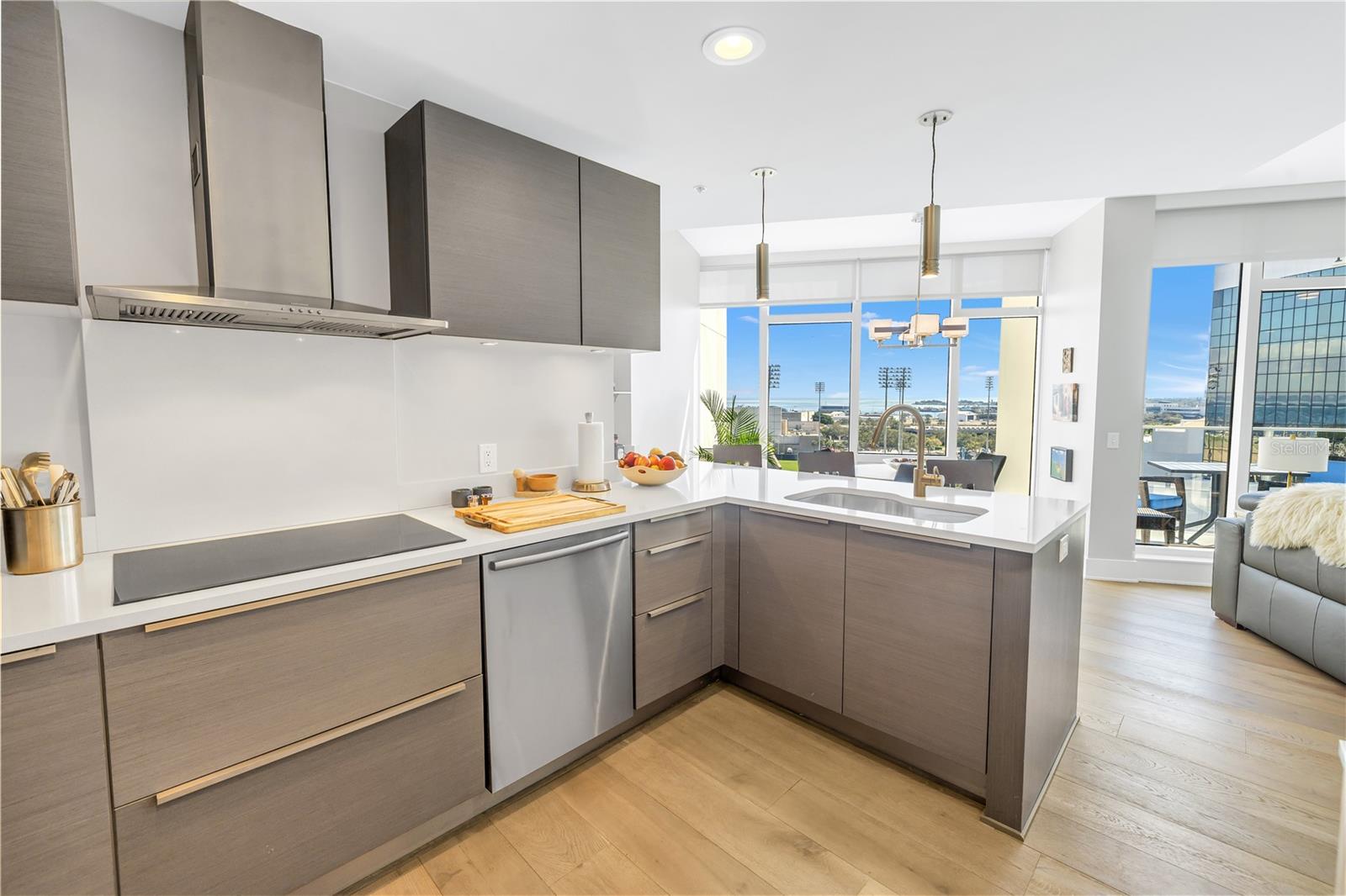 175 1ST ST S #1006, ST PETERSBURG, FL — photo 14