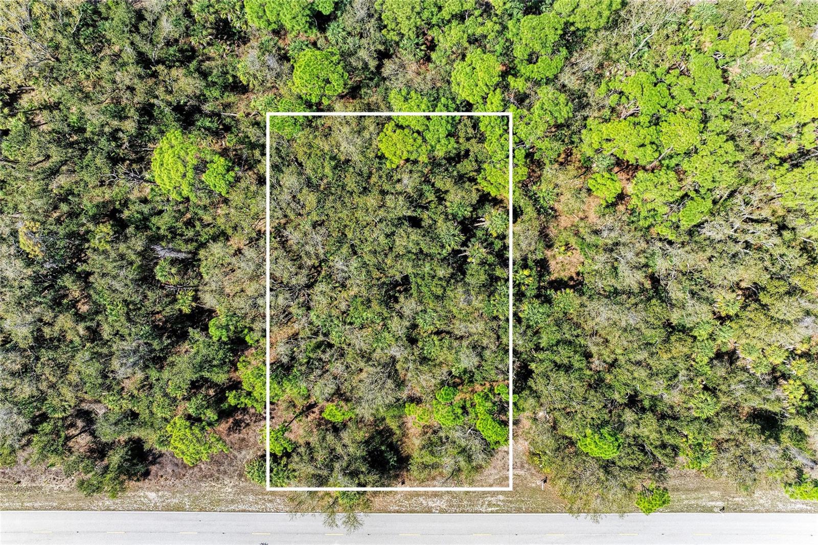 3067 COMO ST, PORT CHARLOTTE, FL — photo 11