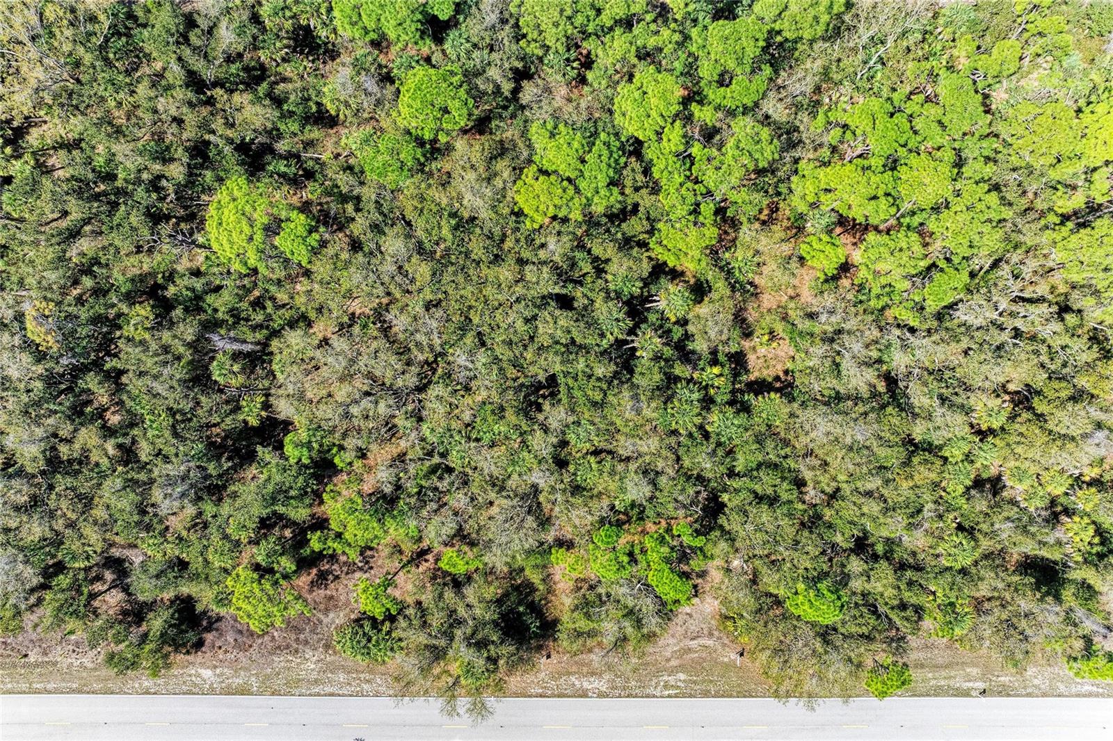 3067 COMO ST, PORT CHARLOTTE, FL — photo 12