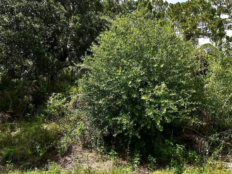 Lot 16 RENTSCHER AVE, NORTH PORT, FL