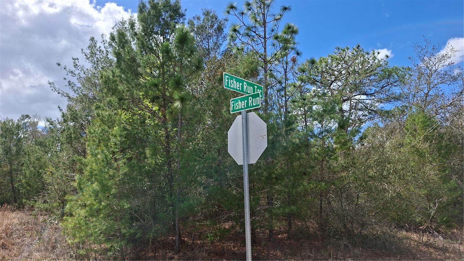 FISHER RUN, OCKLAWAHA, FL