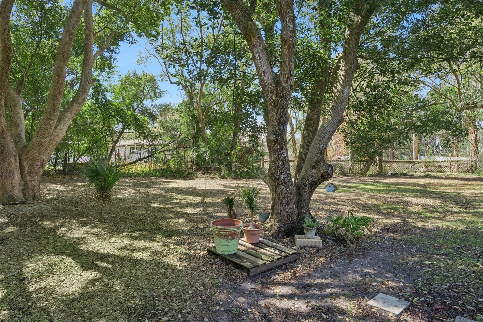 11722 LAKE MINNEOLA SHRS, MINNEOLA, FL — photo 58