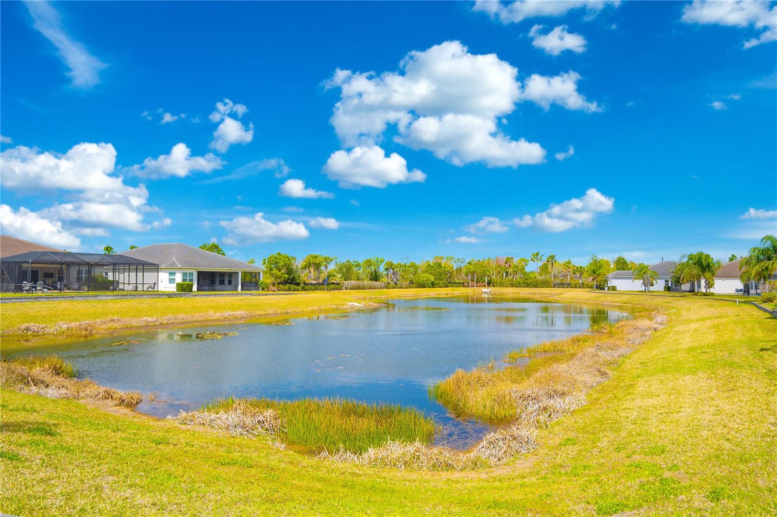 4924 PAMPLONA CT, WIMAUMA, FL — photo 41
