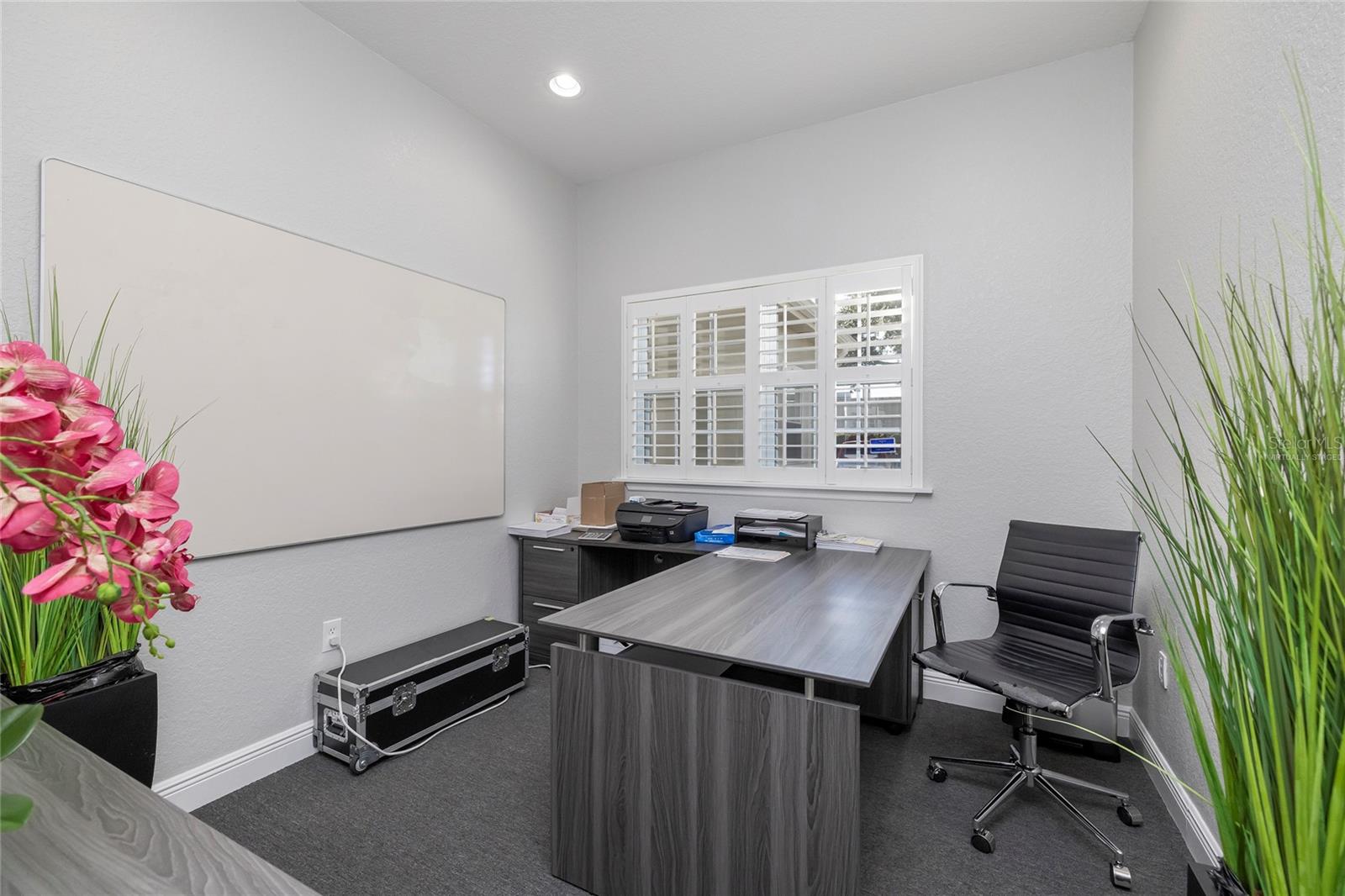 801 2ND ST N #C, SAFETY HARBOR, FL — photo 50