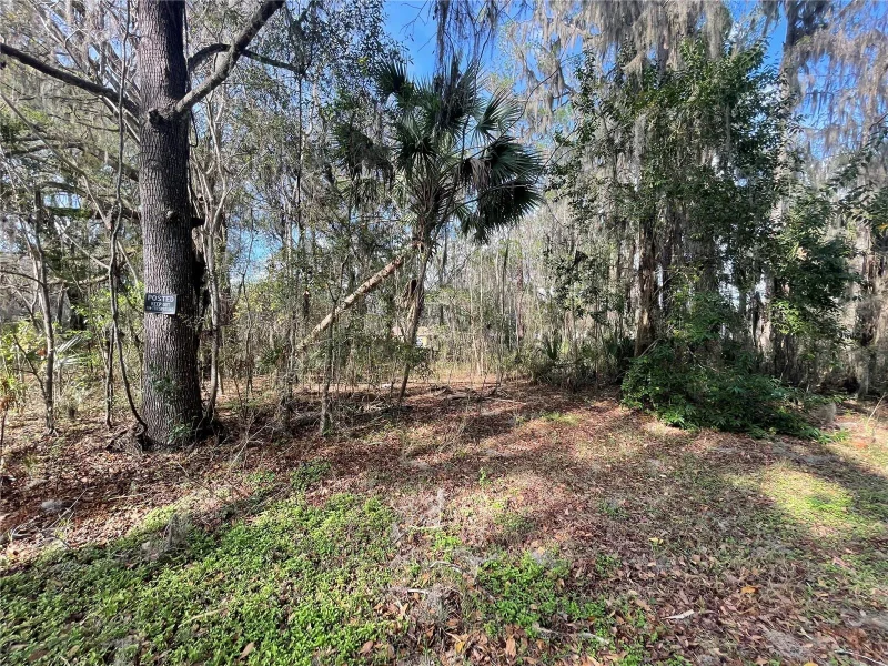 TBD SE 40TH LOOP, OCALA, FL