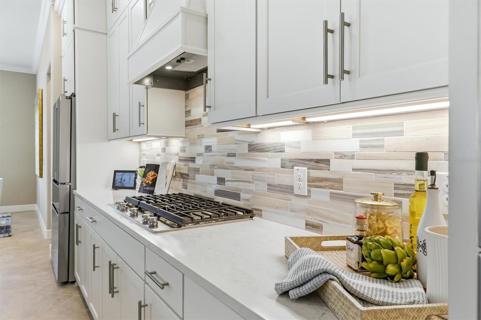 9213 SAND DUNE CV, PARRISH, FL — photo 23