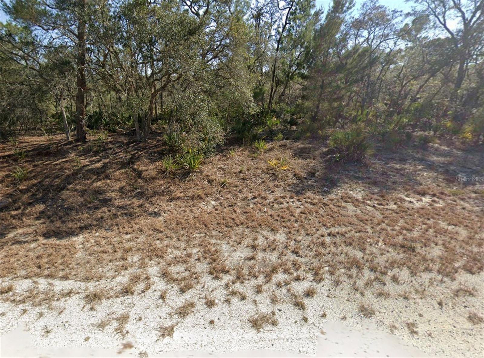 3218 GOSSAMER AVE, LAKE PLACID, FL