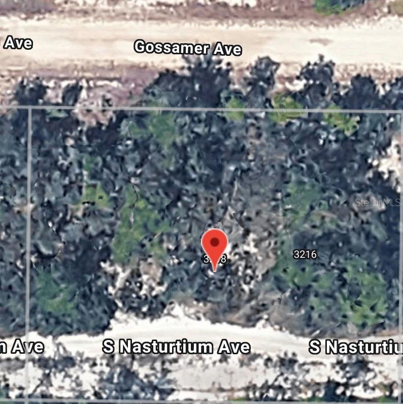 3218 GOSSAMER AVE, LAKE PLACID, FL — photo 2