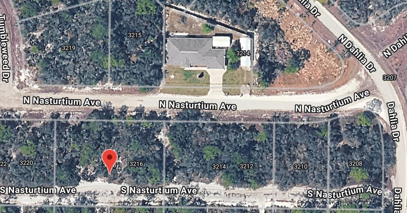 3218 GOSSAMER AVE, LAKE PLACID, FL — photo 3