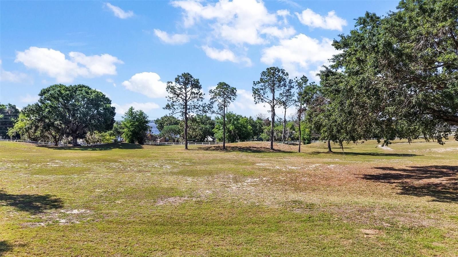 16545 SPRING PARK DR, CLERMONT, FL — photo 48