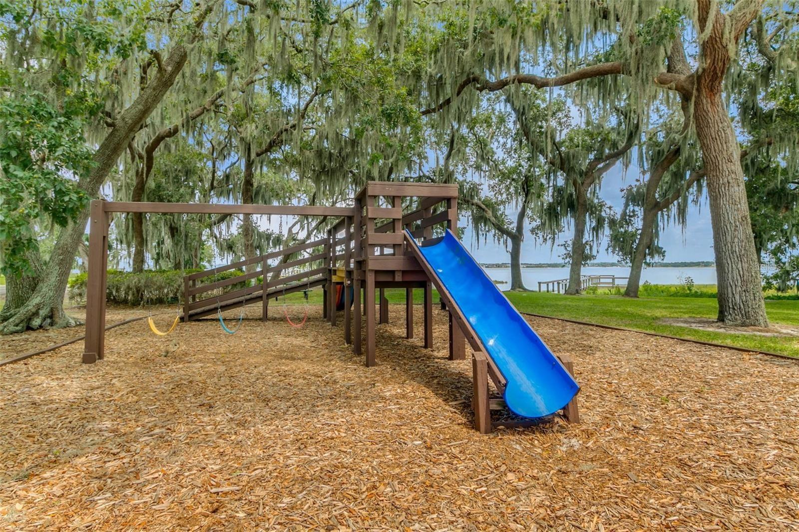 16545 SPRING PARK DR, CLERMONT, FL — photo 71