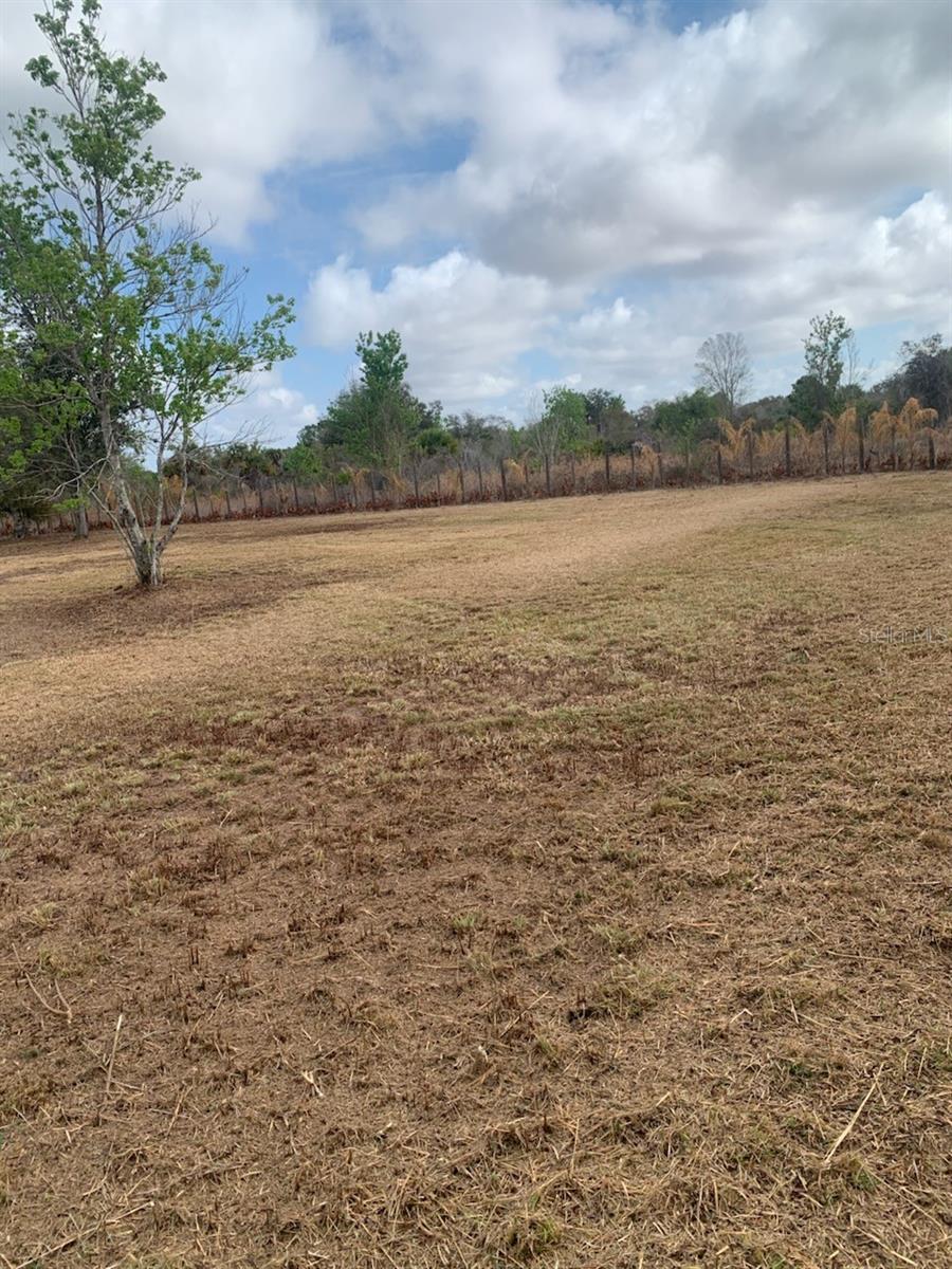 17231 NW 268TH ST, OKEECHOBEE, FL — photo 11