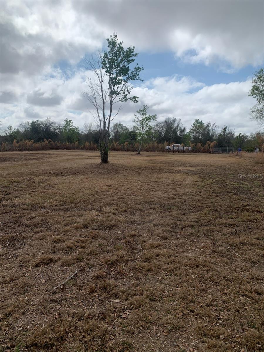 17231 NW 268TH ST, OKEECHOBEE, FL — photo 9