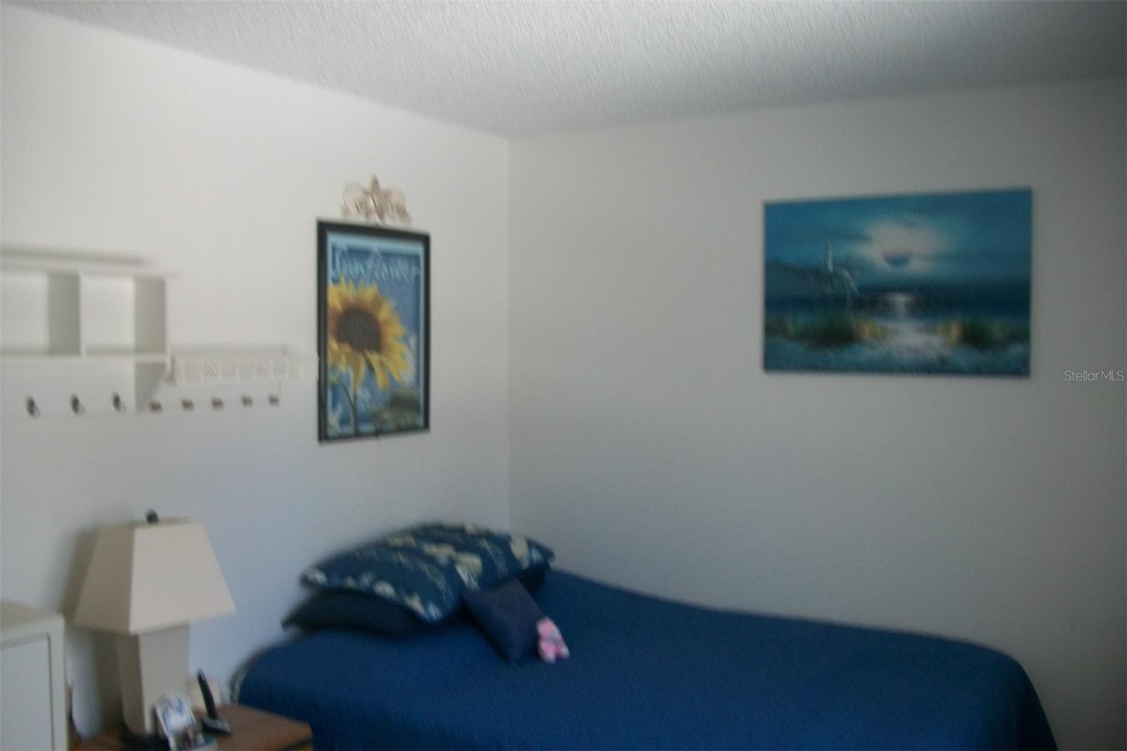 2616 COVE CAY DR #207, CLEARWATER, FL — photo 19