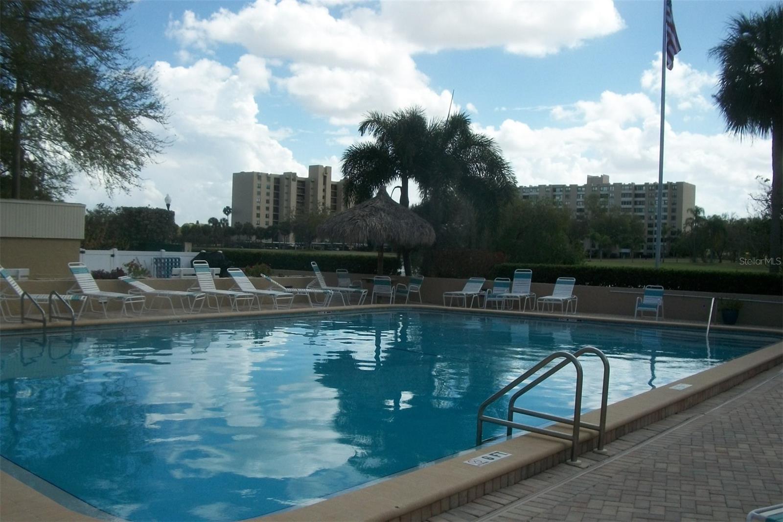 2616 COVE CAY DR #207, CLEARWATER, FL — photo 24