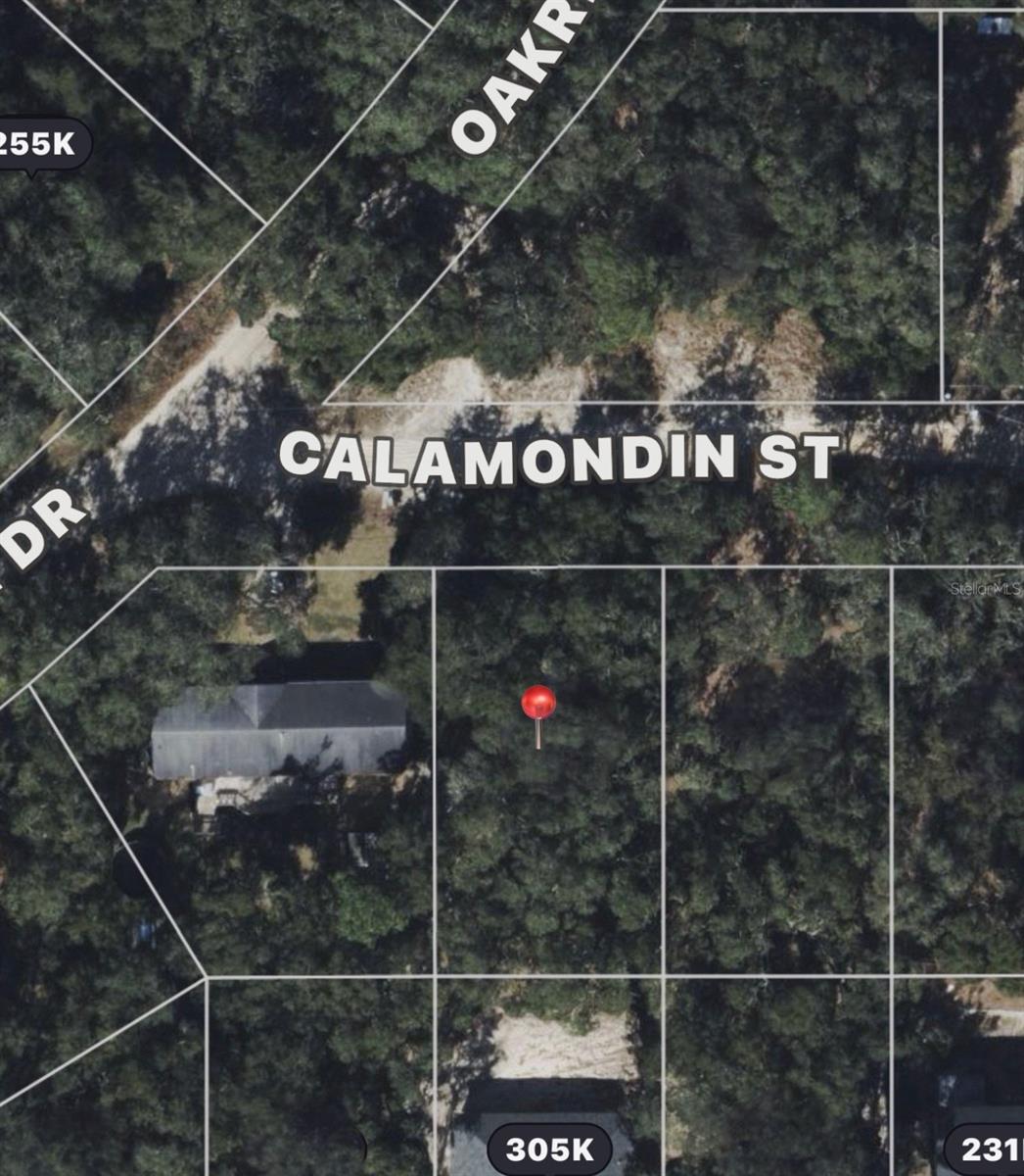 CALAMONDIN ST, LADY LAKE, FL