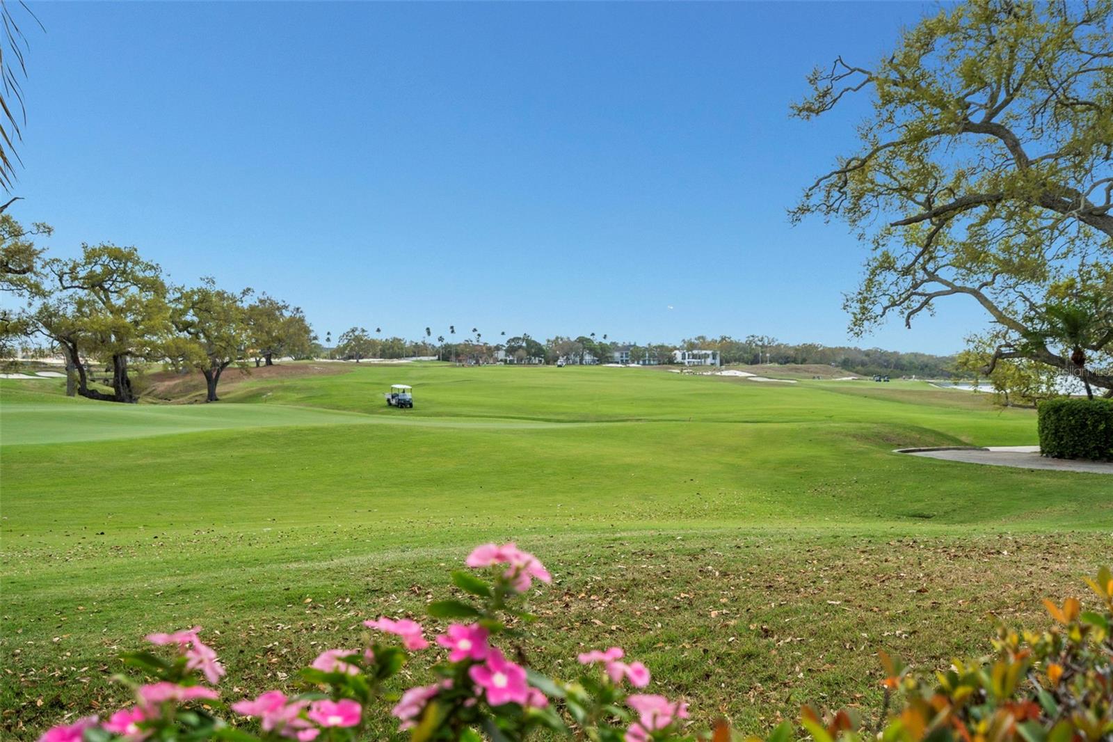 4 BELLEVIEW BLVD #108, BELLEAIR, FL — photo 40