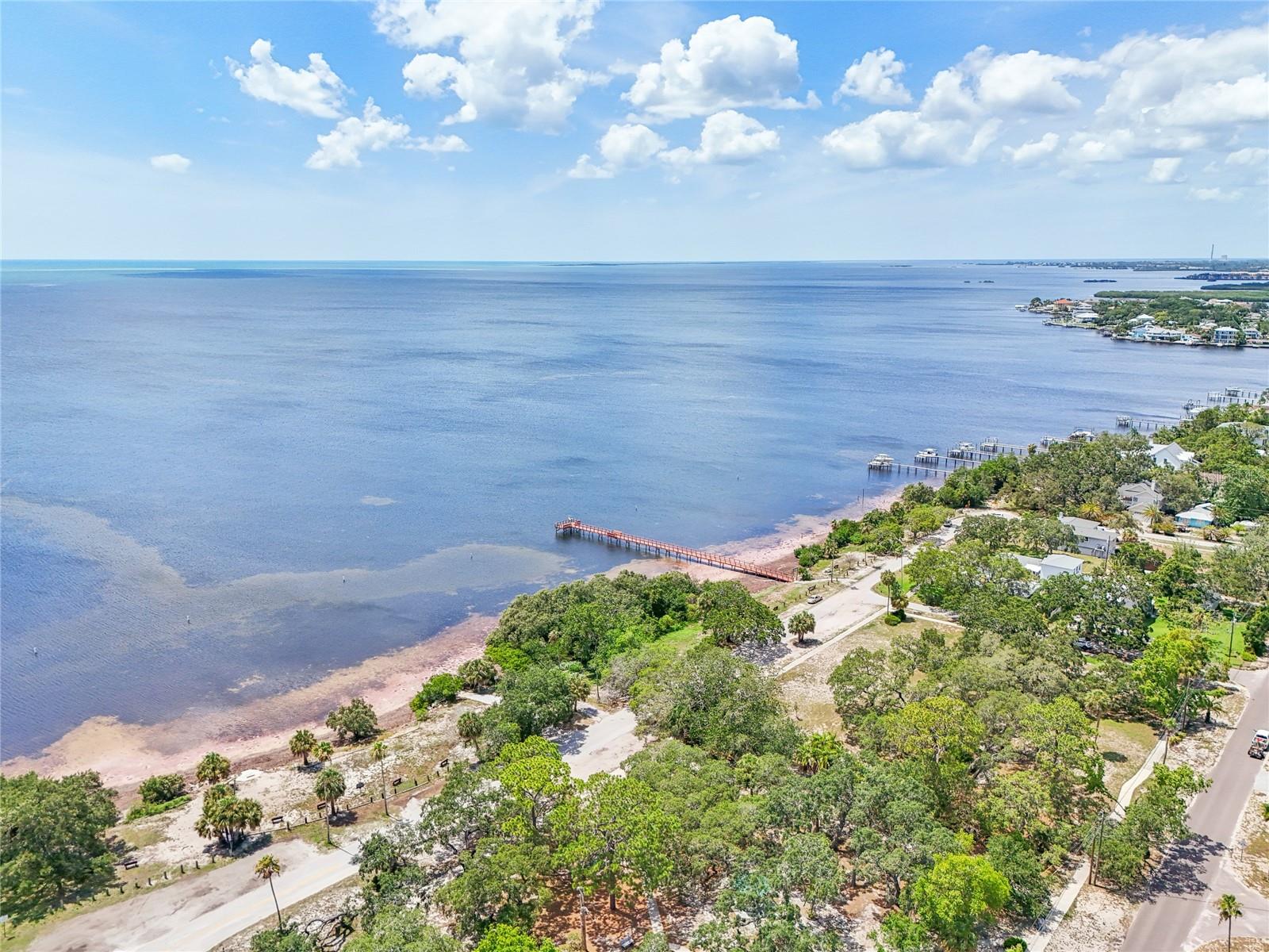 131 PENNSYLVANIA AVE, PALM HARBOR, FL — photo 4