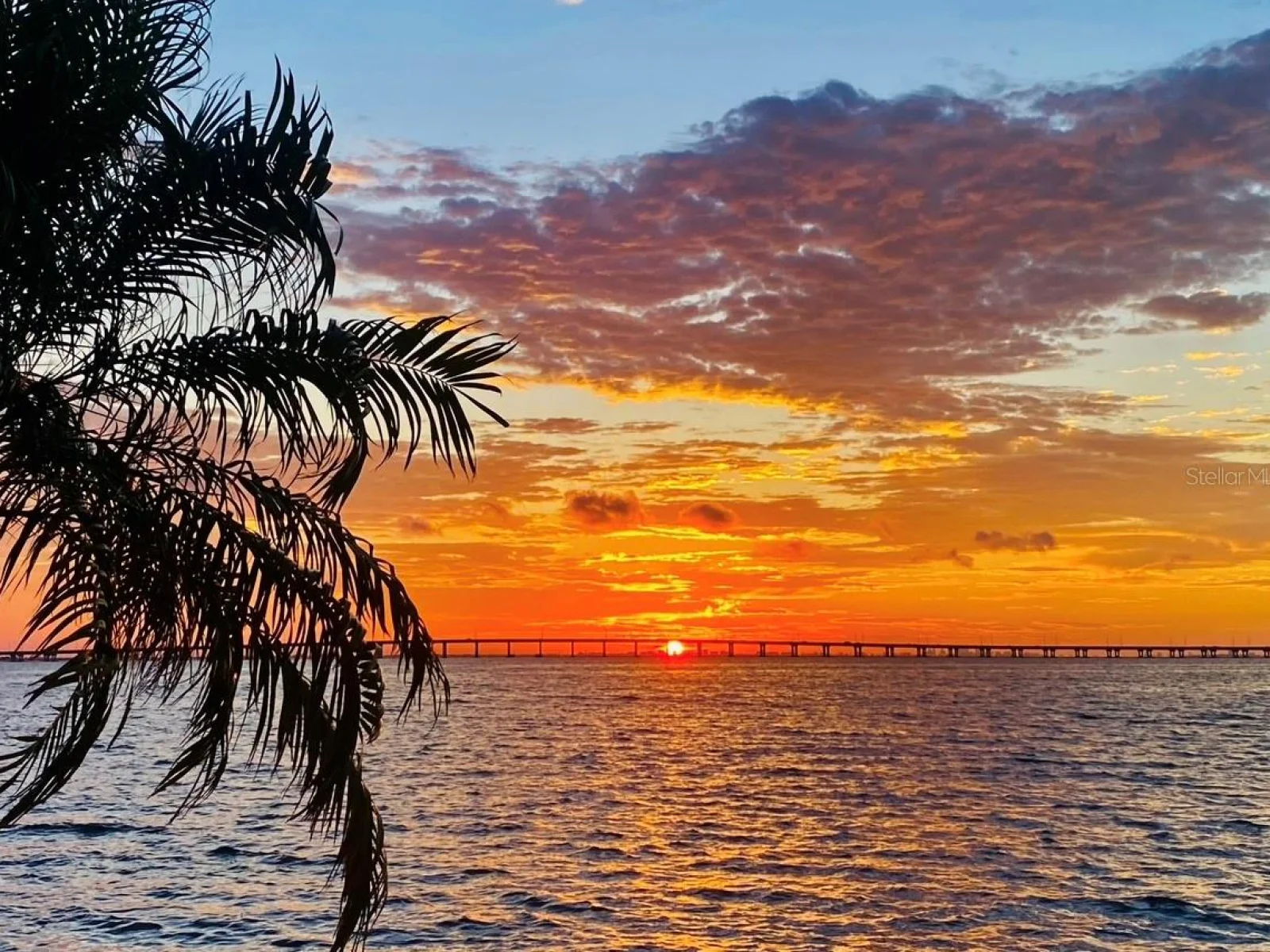 2773 VIA CIPRIANI #1321B, CLEARWATER, FL — photo 53