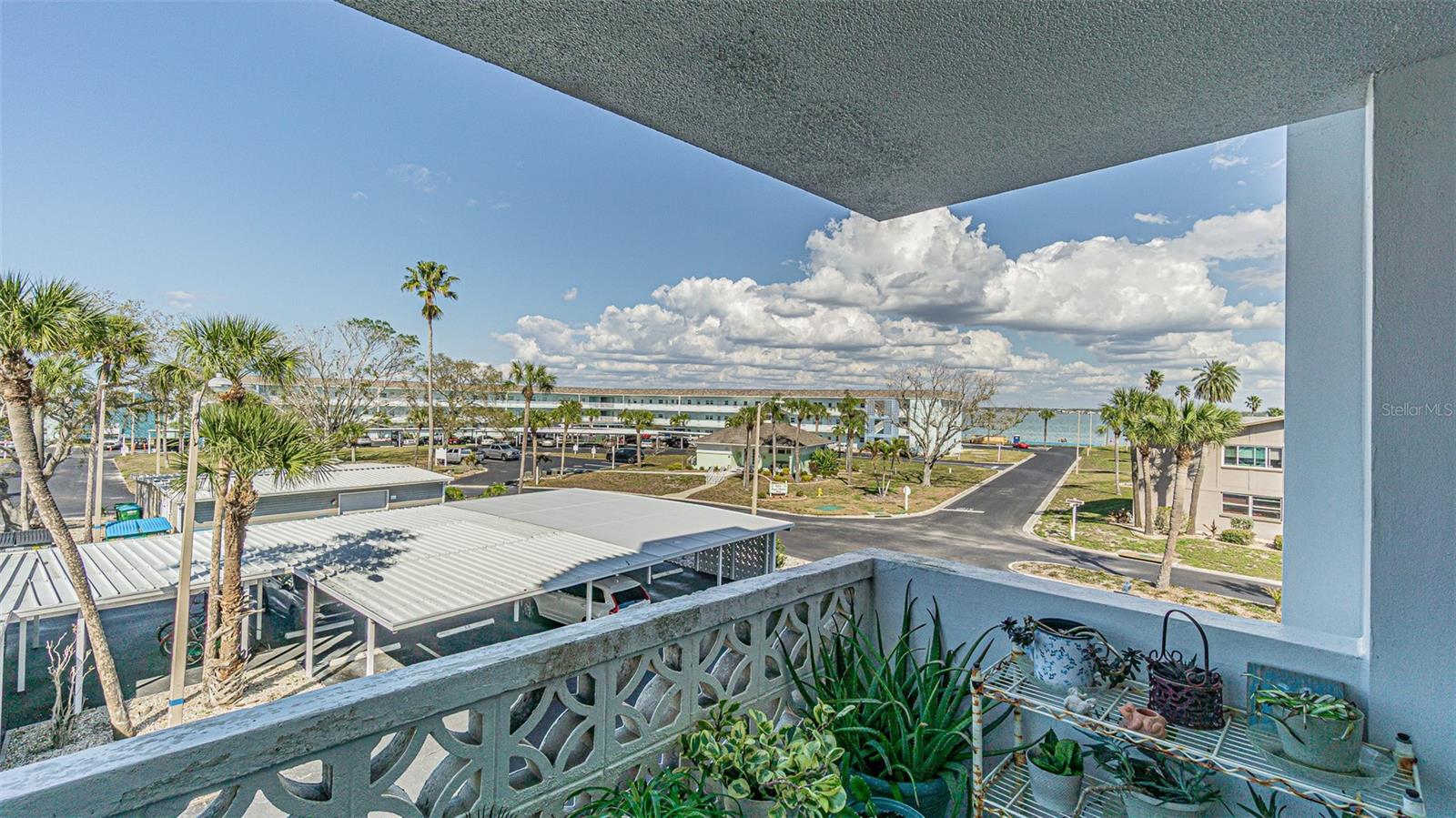 7 ELGIN PL #301, DUNEDIN, FL — photo 17