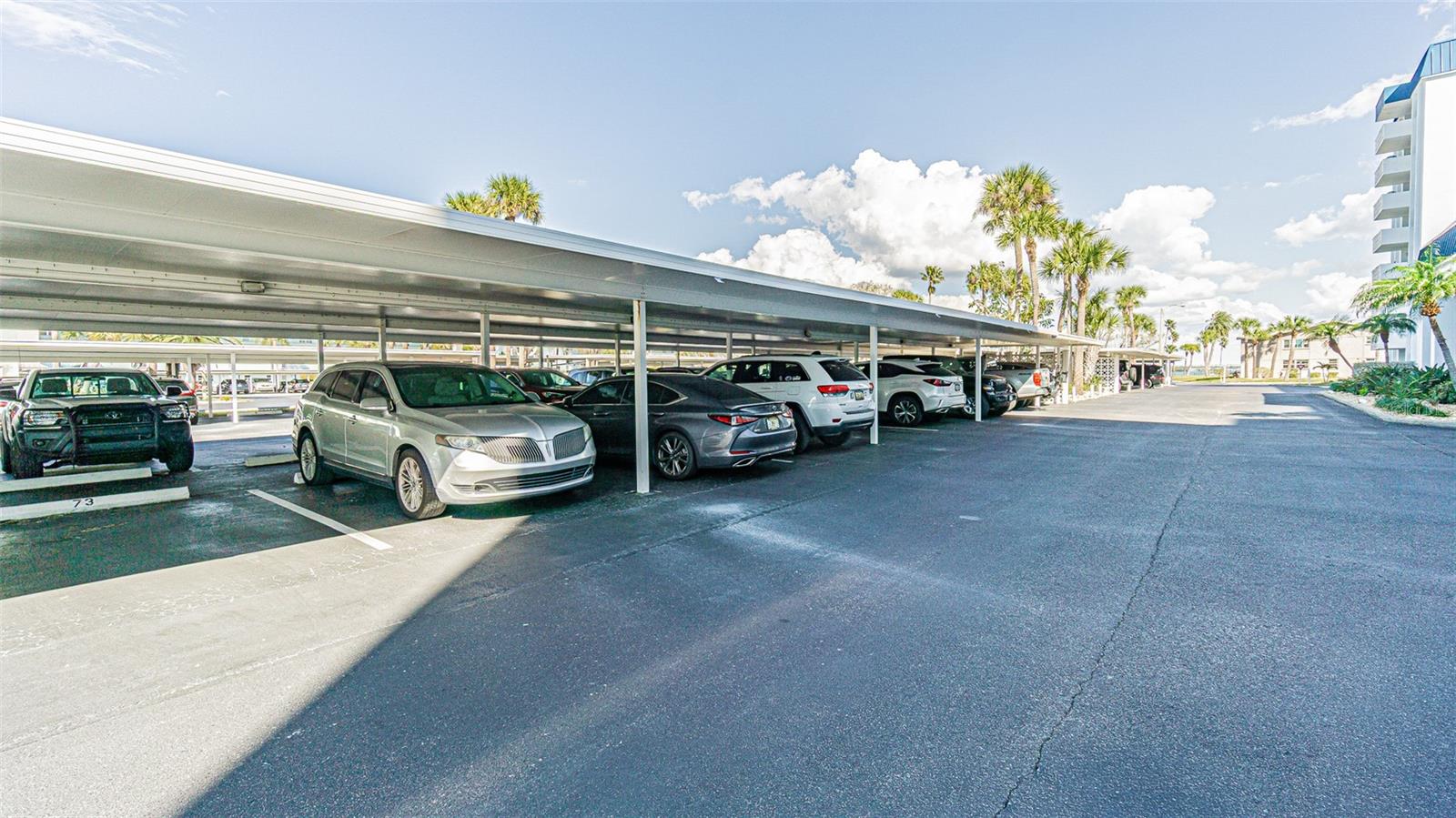 7 ELGIN PL #301, DUNEDIN, FL — photo 23